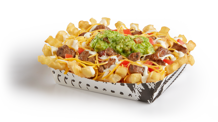 CARNE ASADA STEAK FRIES